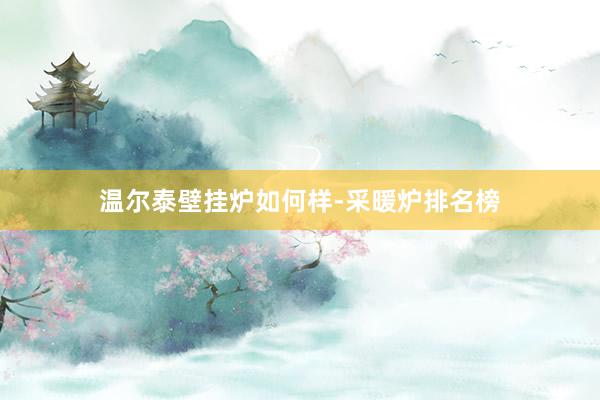 温尔泰壁挂炉如何样-采暖炉排名榜